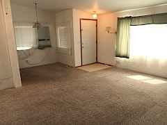 Living/Dining