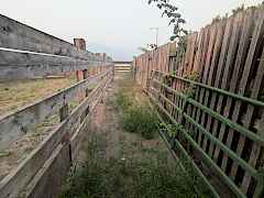 PXL_20260812_163946250