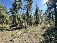 Brushed trails throughout