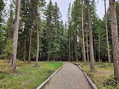 Path to Cole Creek