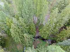 Cole Creek in the Fall